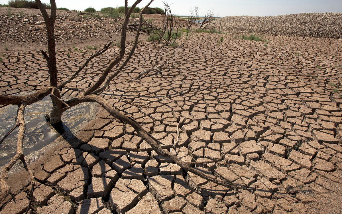 البنك الدولي: الجفاف وظاهرة "النينو" يساهمان في انعدام الأمن الغذائي 