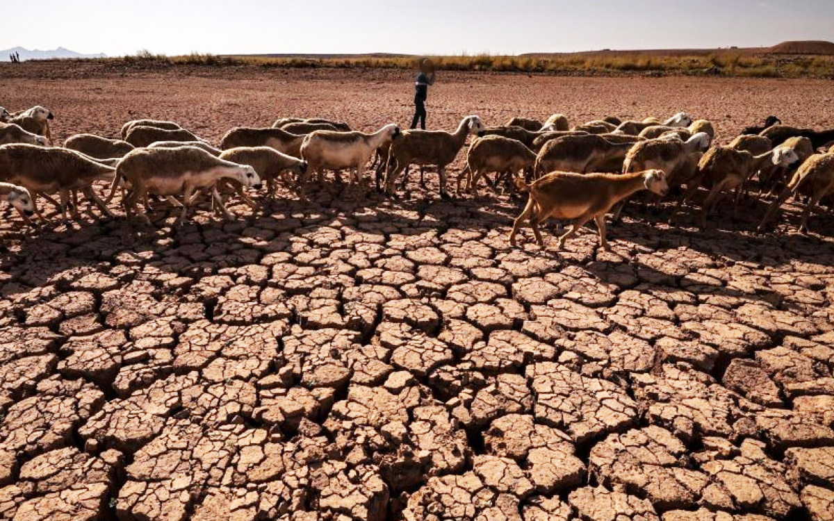 الجفاف وندرة المياه في المغرب.. الأسباب والحلول