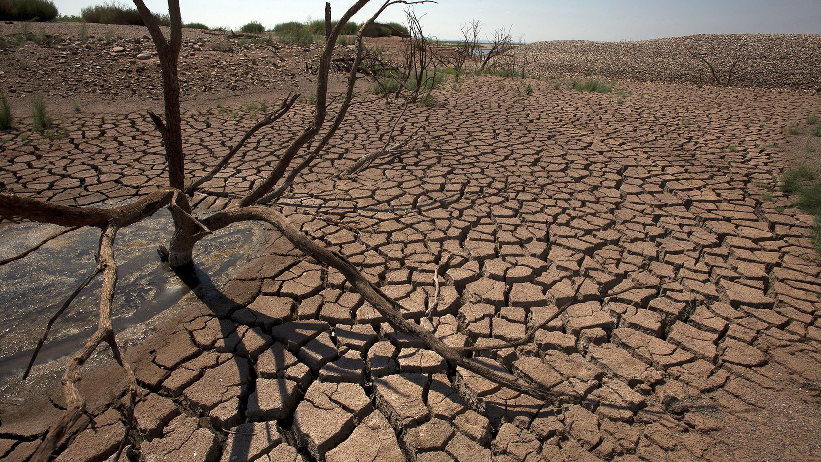 نقص الأمطار والجفاف يفاقمان أزمة الغابات في المنطقة المتوسطية
