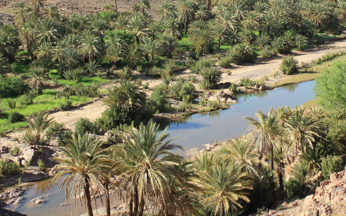 تنظيم منتدى المضايق والواحات من 2 إلى 4 ماي المقبل بتنغير 