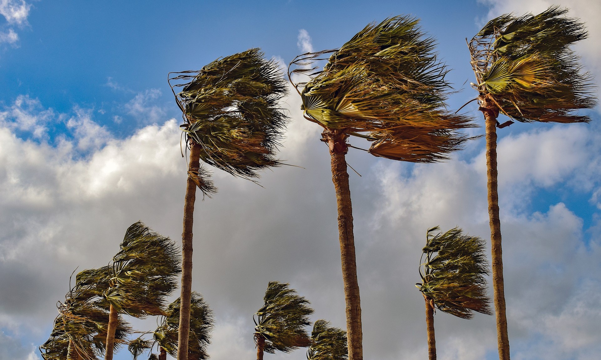 نشرة إنذارية.. هبات رياح قوية مصحوبة بتطاير الغبار ستهم عدداً من أقاليم المملكة يوم غد الخميس