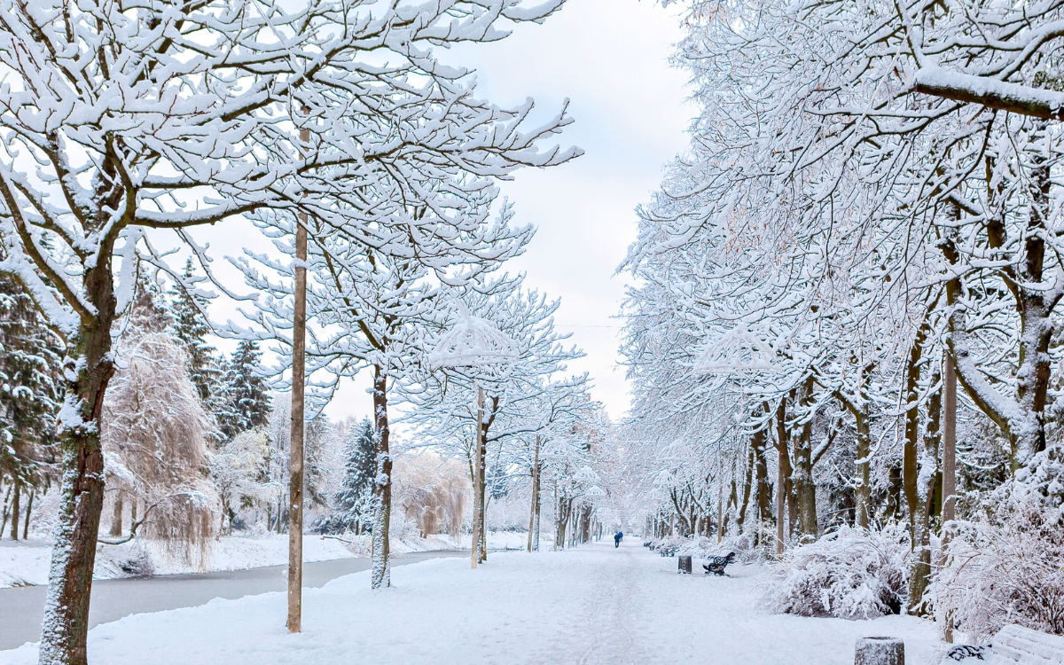 تحيين نشرة إنذارية.. تساقطات ثلجية ورياح قوية مرتقبة غدا الأربعاء بعدة مناطق بالمغرب