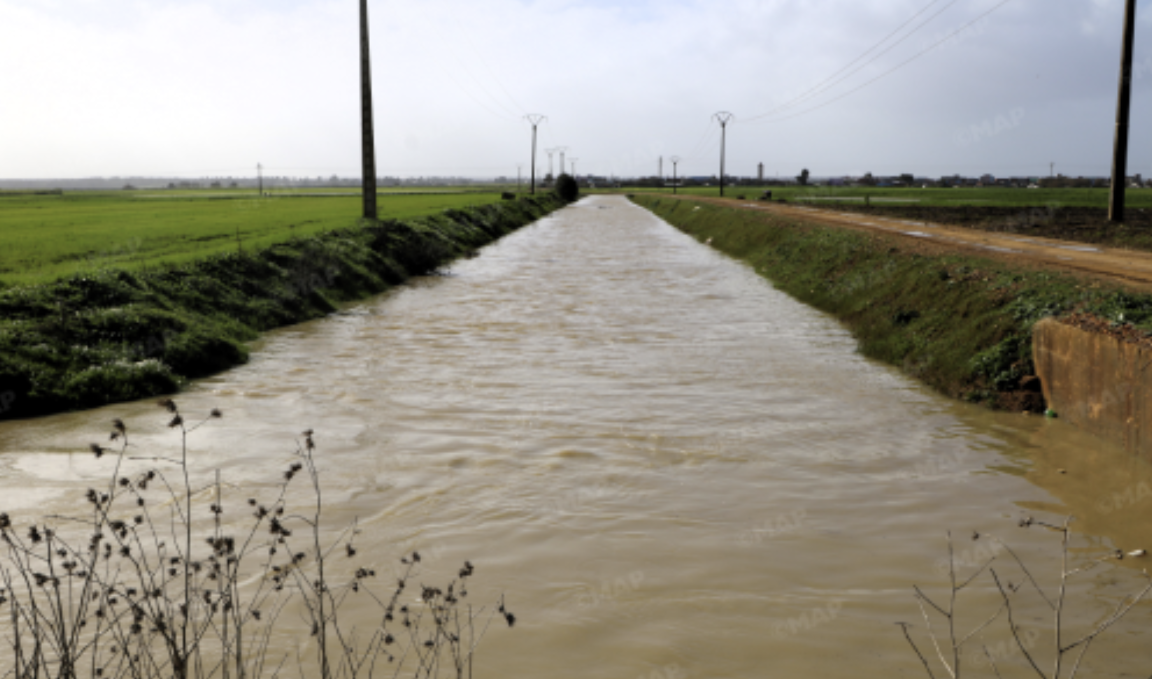 سهل اللوكوس.. تساقطات مطرية مهمة تنعش المزروعات وتُبشّر بموسم فلاحي واعد