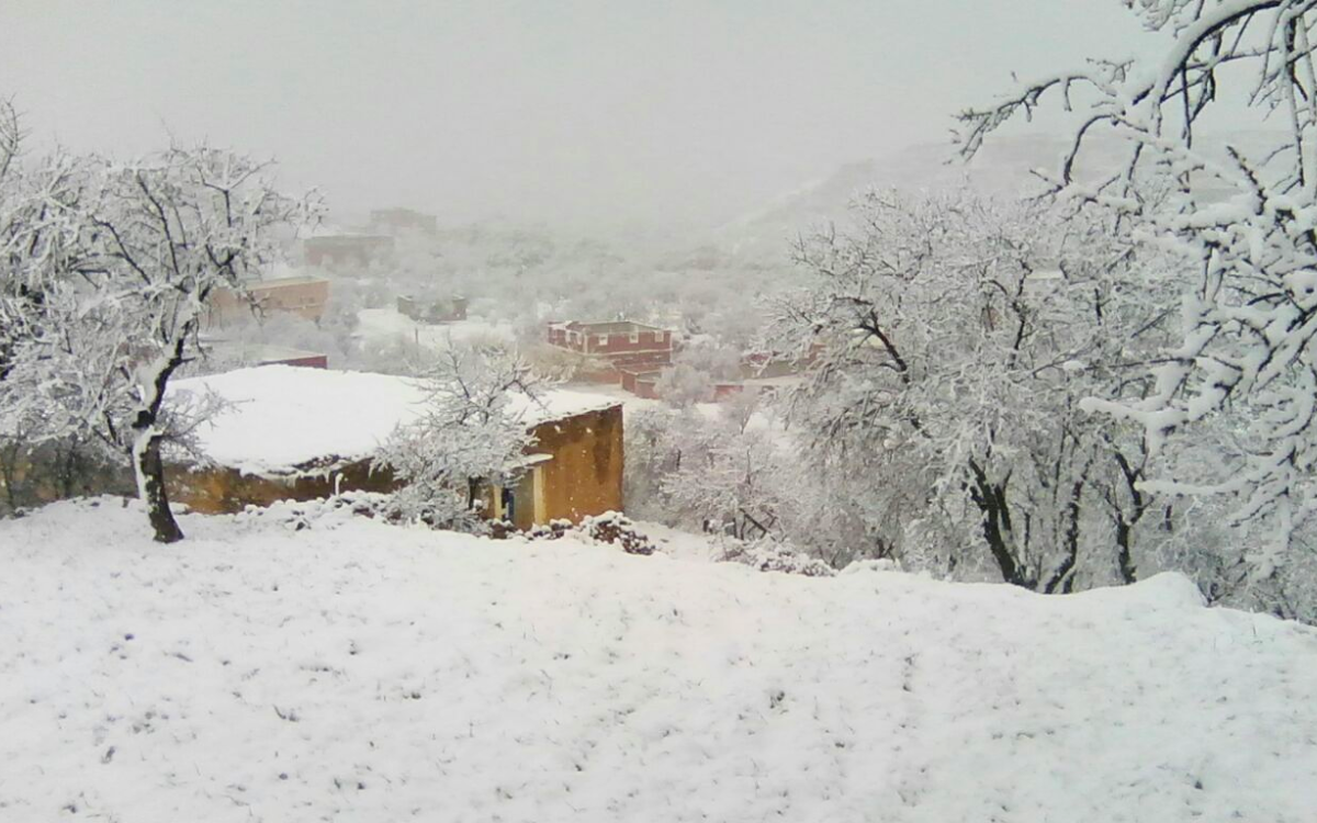 هذه مقاييس التساقطات الثلجية المسجلة بالمملكة خلال الـ 24 ساعة الماضية 