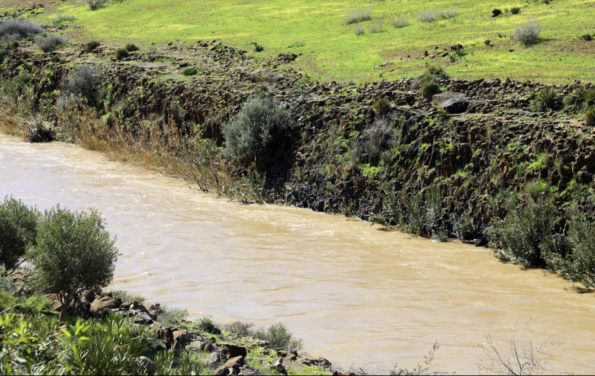 وادي أم الربيع.. شريان مائي استراتيجي يستعيد زخمه الطبيعي