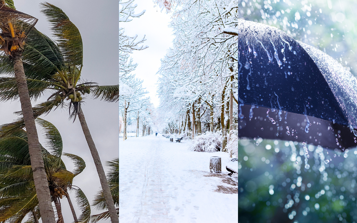 نشرة إنذارية.. تساقطات مطرية قوية أحيانا رعدية مع احتمال تساقط البرد وتساقطات ثلجية وهبات رياح قوية مرتقبة من الأربعاء إلى الخميس بعدة مناطق بالمملكة