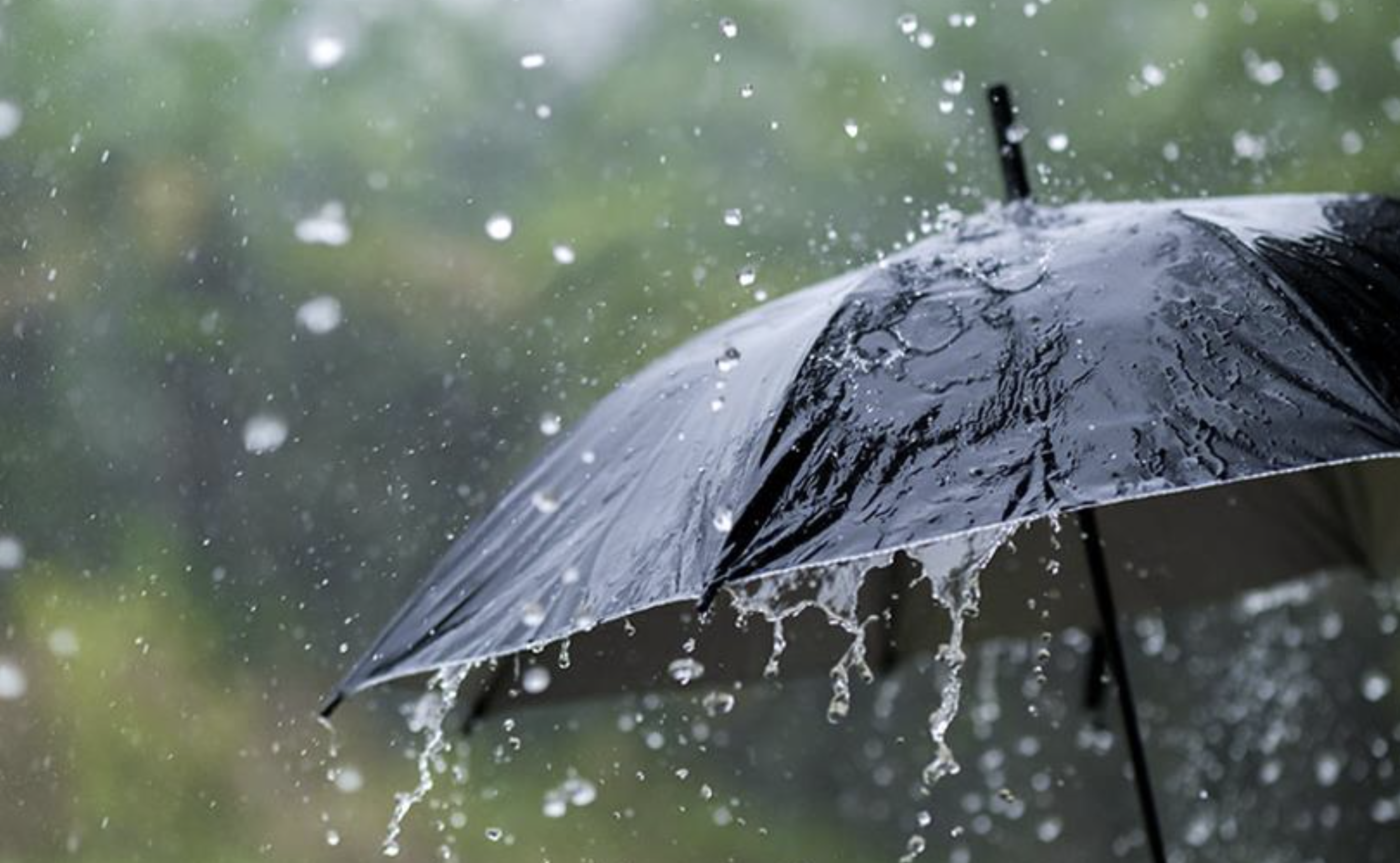 هذه مقاييس التساقطات المطرية المسجلة بالمملكة خلال 24 ساعة