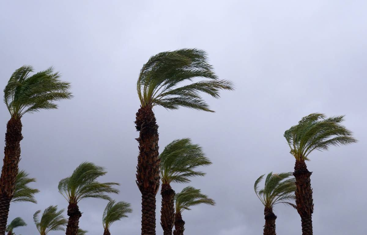 نشرة إنذارية.. هبات رياح قوية مع تطاير الغبار مرتقبة يوم غد الخميس بعدد من أقاليم المملكة