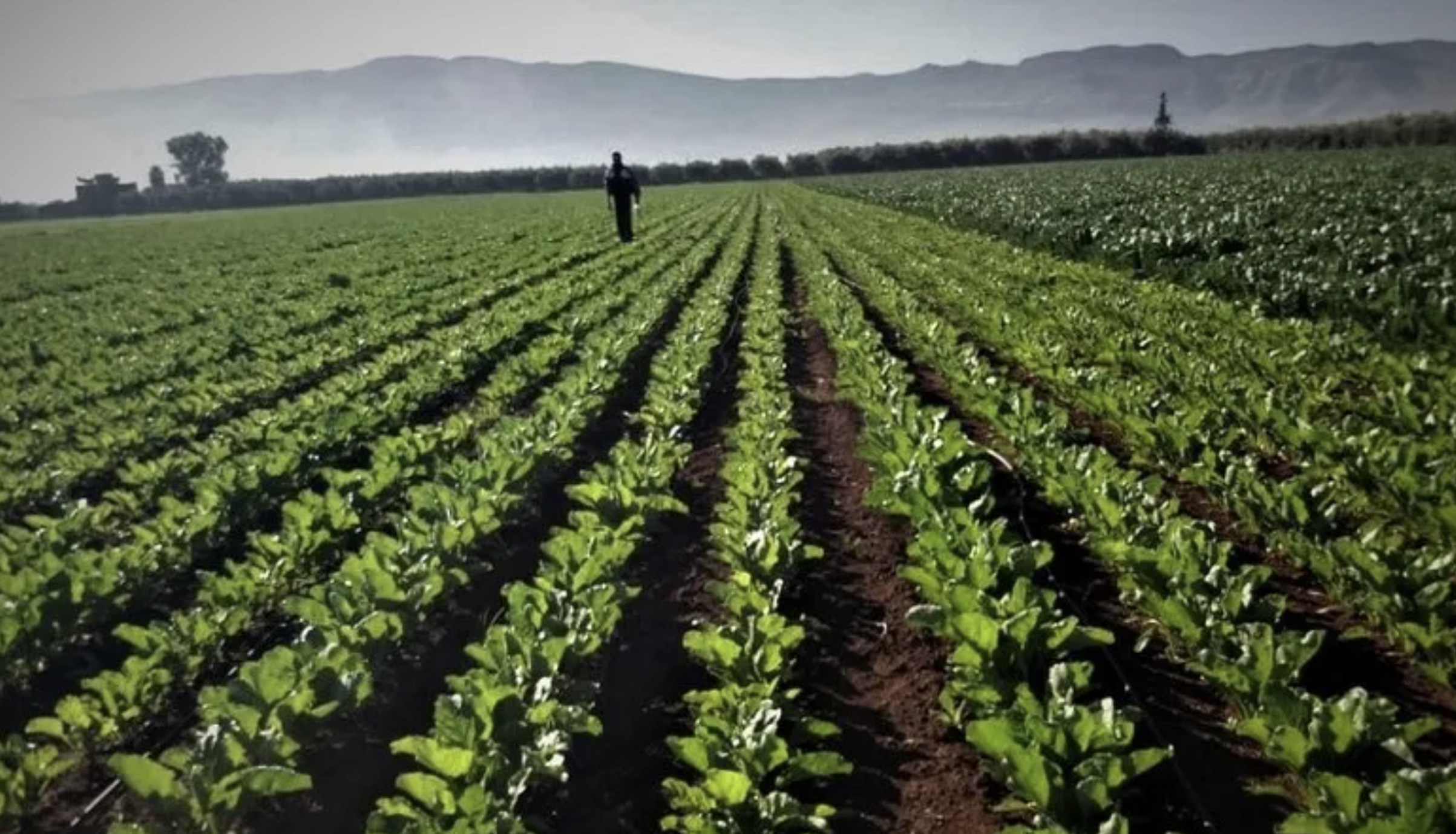 بعد انتعاش الفرشة المائية.. الأمطار الأخيرة تعيد الأمل للفلاحين في جهة الدار البيضاء سطات 