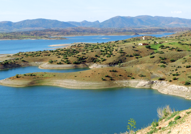 تطور استعمالات مياه بعض السدود بحوض أم الربيع خلال السنة الهيدرولوجية 2024-2025