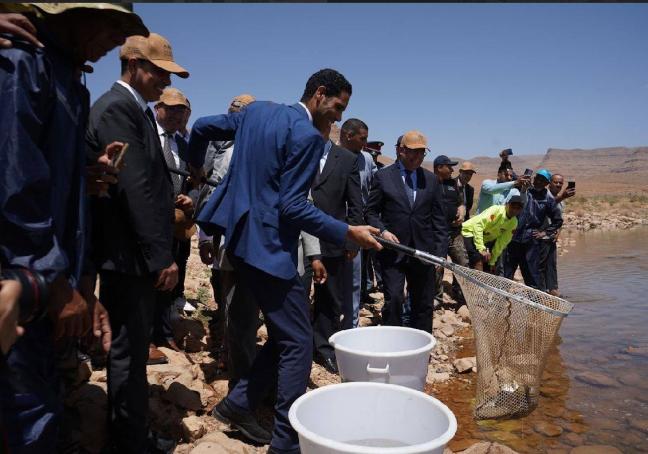 لتثمين المنظومة المائية وتأهيل المحيط البيئي.. انطلاق مشروع تشجير جنبات سد الحسن الداخل بإقليم الرشيدية