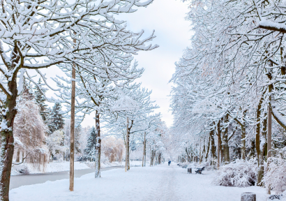تحيين نشرة إنذارية.. تساقطات ثلجية ورياح قوية مرتقبة غدا الأربعاء بعدة مناطق بالمغرب