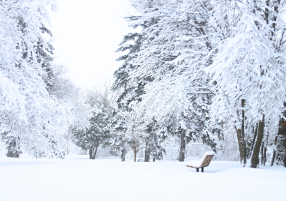 نشرة إنذارية.. تساقطات ثلجية وهبات رياح قوية مرتقبة بعدة مناطق بالمملكة