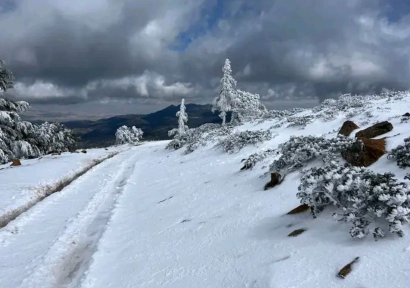 هذه مقاييس التساقطات الثلجية المسجلة بالمملكة خلال الـ 24 ساعة الماضية