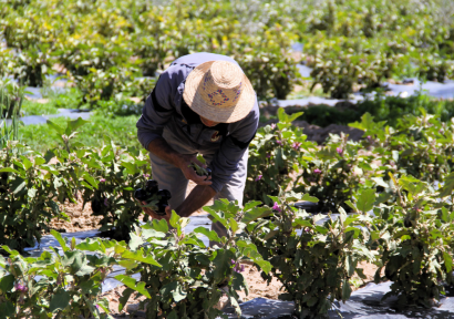 إقليم سيدي بنور.. تساقطات مطرية استثنائية تنعش الآمال بموسم فلاحي واعد