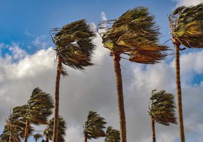 نشرة إنذارية.. هبات رياح قوية مصحوبة بعواصف رملية أو تطاير غبار مرتقبة من الخميس إلى الجمعة بعدة مناطق بالمملكة