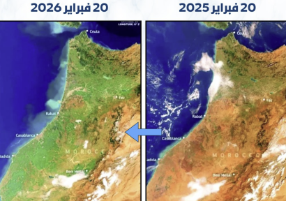 من الجفاف إلى الاخضرار.. تحول بيئي لافت في المغرب خلال عام واحد