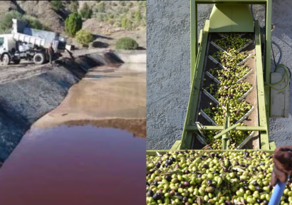 مواصلة تنزيل برنامج حماية الموارد المائية من التلوث الناتج عن معاصر الزيتون بحوض سبو