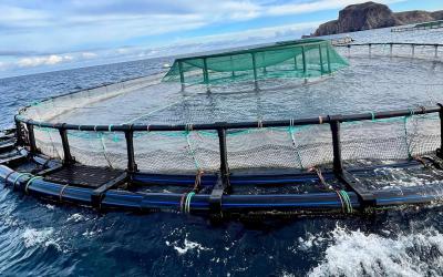 مجلة إيطالية: المغرب نموذج للدول الإفريقية في مجال تربية الأحياء المائية المستدامة  