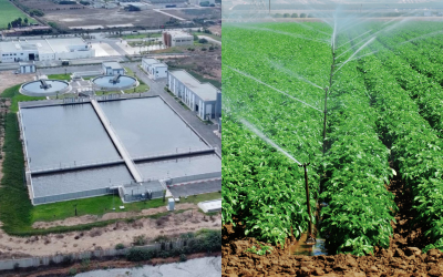 لتقليل الضغط على الموارد المائية.. المغرب يعمل على تعزيز استخدام المياه المعالجة في الزراعة