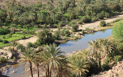 تنظيم منتدى المضايق والواحات من 2 إلى 4 ماي المقبل بتنغير 