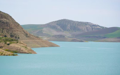 بعد سنوات من الجفاف.. عدة أحواض مائية بالمملكة تتجاوز 50% بفضل الأمطار الأخيرة