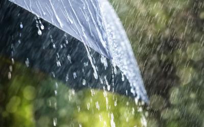 هذه مقاييس التساقطات المطرية خلال الـ 24 ساعة الماضية