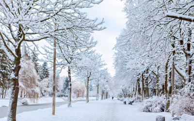 تحيين نشرة إنذارية.. تساقطات ثلجية ورياح قوية مرتقبة غدا الأربعاء بعدة مناطق بالمغرب