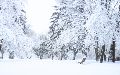 نشرة إنذارية.. تساقطات ثلجية وهبات رياح قوية مرتقبة بعدة مناطق بالمملكة
