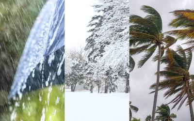 نشرة إنذارية.. أمطار قوية وتساقطات ثلجية ورياح قوية مرتقبة بعدة مناطق بالمملكة من الخميس إلى الاثنين