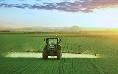 جهة مراكش – آسفي.. التساقطات المطرية الأخيرة ببلادنا تعطي دفعة قوية لمختلف سلاسل الإنتاج الفلاحي