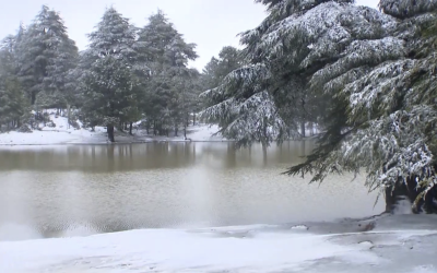 الثلوج تعود لتكسو القمم الجبلية بإقليم خنيفرة وتعيد الحياة لغابات الأرز