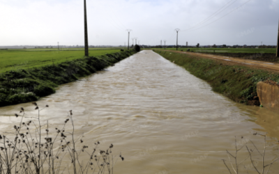 سهل اللوكوس.. تساقطات مطرية مهمة تنعش المزروعات وتُبشّر بموسم فلاحي واعد