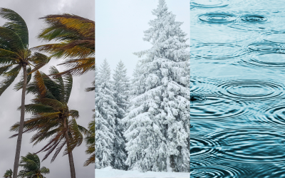 نشرة إنذارية.. تساقطات مطرية قوية أحياناً رعدية مع احتمال تساقط البرد وتساقطات ثلجية وهبات رياح قوية مرتقبة من الجمعة إلى السبت بعدة مناطق بالمملكة