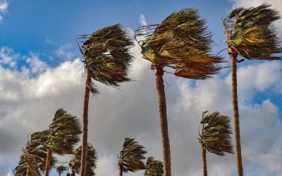 نشرة إنذارية.. هبات رياح قوية مصحوبة بعواصف رملية أو تطاير غبار مرتقبة من الخميس إلى الجمعة بعدة مناطق بالمملكة