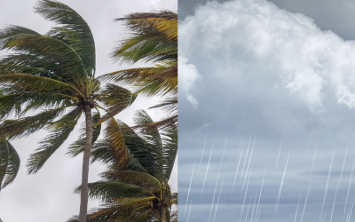 نشرة إنذارية.. تساقطات مطرية قوية أحياناً رعدية مع احتمال تساقط البرد ورياح عاصفية مرتقبة من الجمعة إلى السبت بعدة مناطق بالمملكة