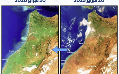من الجفاف إلى الاخضرار.. تحول بيئي لافت في المغرب خلال عام واحد