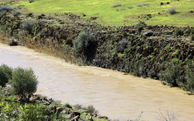 وادي أم الربيع.. شريان مائي استراتيجي يستعيد زخمه الطبيعي